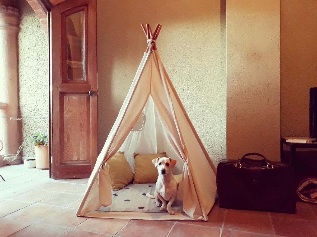 Lool Beh Hostal San Miguel de Allende Zewnętrze zdjęcie
